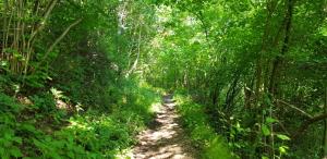 Zelena pot Teber Foto: Občina Črna na Koroškem